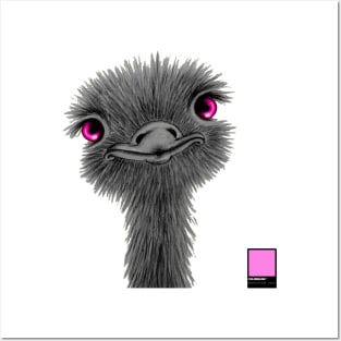 OSTRICH PINK - black card  by COLORBLIND WorldView Posters and Art